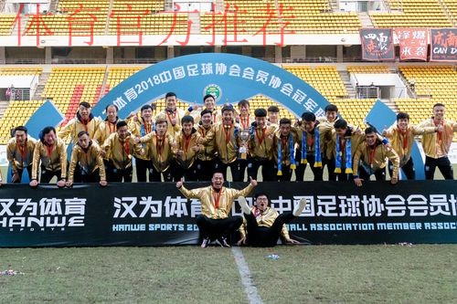 汉为体育2018中冠联赛决赛首回合：泰州远大4-1成都兴城